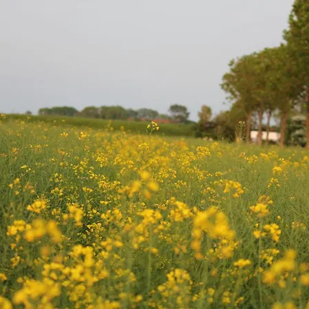 Bauernstubchen - #113605 *
